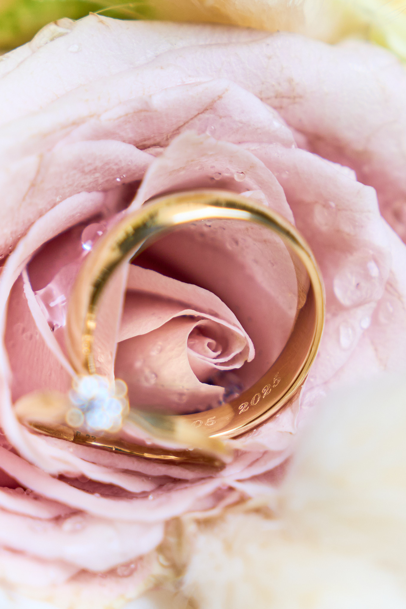 Photo 1 Marine Alexy