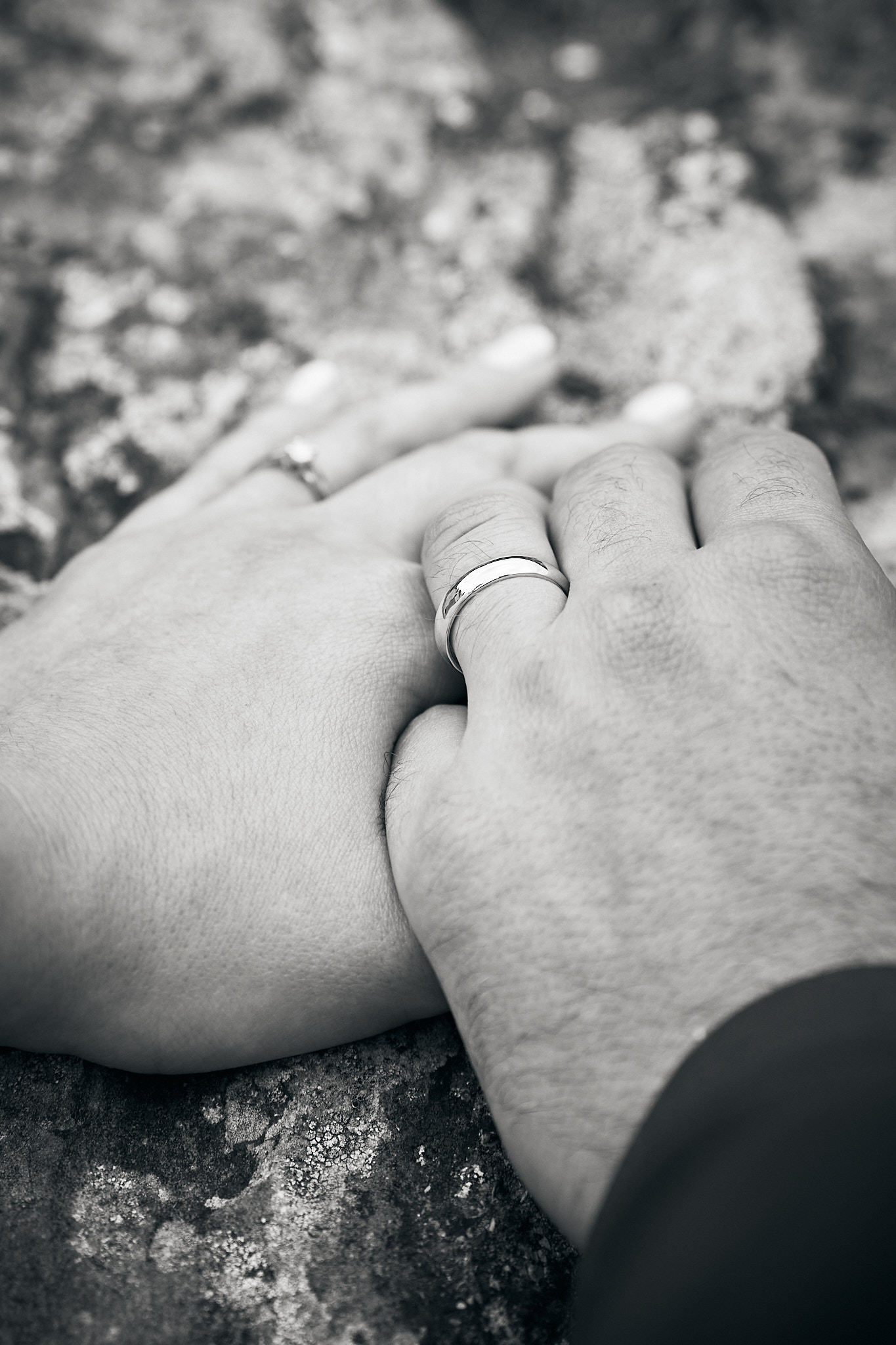 Photo 39 Marine Alexy